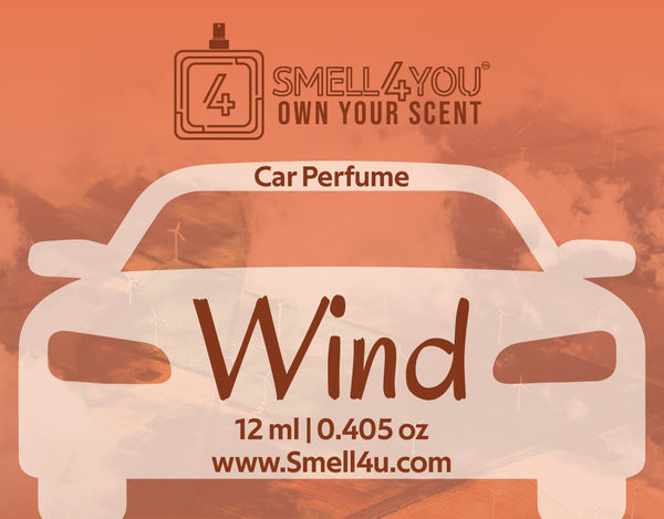 car perfume Wind