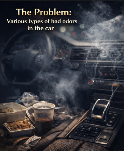 Ambro-X Car Mist Spray