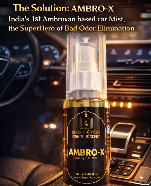 Ambro-X Car Mist Spray